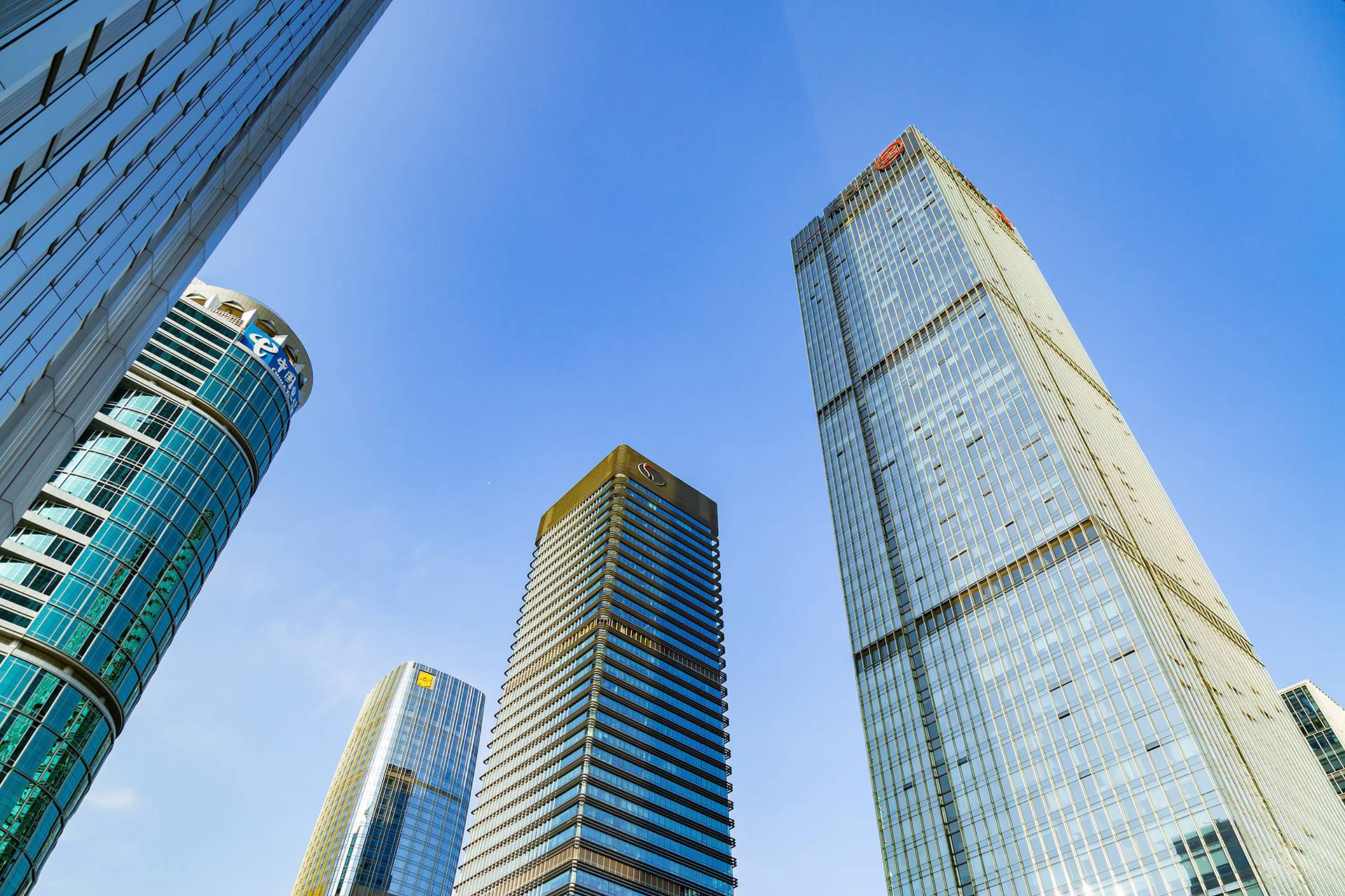 Company Profile